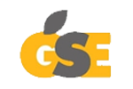 GSE